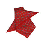 The Paisley Blaze Silk Pocket Square